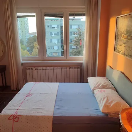 Toplina Novi Апартаменты *